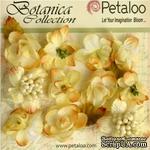 Набор объемных цветов Petaloo - Botanica Minis - Soft Yellow - ScrapUA.com