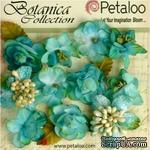 Набор объемных цветов Petaloo - Botanica Minis - Teal - ScrapUA.com