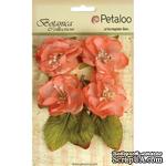 Набор объемных цветов Petaloo - Botanica Blooms x4 - Coral - ScrapUA.com