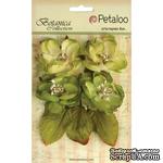 Набор объемных цветов Petaloo - Botanica Blooms x4 - Pistachio - ScrapUA.com