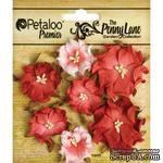 Набор объемных цветов (диких роз) Petaloo - Penny Lane Mini Wild Roses x7 - Antique Red - ScrapUA.com