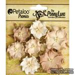 Набор объемных цветов (диких роз) Petaloo - Penny Lane Mini Wild Roses x7 - Antique Beige - ScrapUA.com