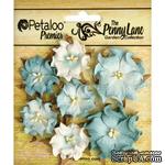 Набор объемных цветов (диких роз) Petaloo - Penny Lane Mini Wild Roses x7 - Robin&#039;s Egg Blue - ScrapUA.com