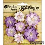 Набор объемных цветов (диких роз) Petaloo - Penny Lane Mini Wild Roses x7 - Soft Lavender - ScrapUA.com