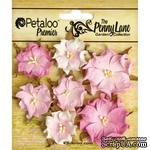 Набор объемных цветов (диких роз) Petaloo - Penny Lane Mini Wild Roses x7 - Soft Pink - ScrapUA.com