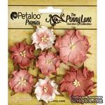 Набор объемных цветов (диких роз) Petaloo - Penny Lane Mini Wild Roses x7 - Antique Rose - ScrapUA.com