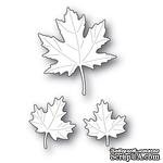 Ножи для вырубки от Poppystamps - Maple Trio - ScrapUA.com