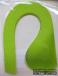 Набор полосок бумаги для квиллинга, 1 цвет (зеленый неон), 5х295мм, 80 г/м2, 200 шт. - ScrapUA.com