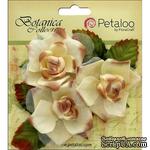 Набор цветов Petaloo - Botanica Fairy Rose Bud - Cream - ScrapUA.com