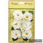 Набор цветов Petaloo - Botanica Ranunculus - White - ScrapUA.com