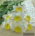 Орхидеи, цвет белый с желтым, 33х40мм, 5 шт. - ScrapUA.com