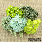 Набор цветочков Sweetheart, зеленый микс, 10 мм, 100 шт. - ScrapUA.com