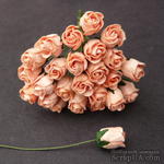 Буточники розы, персиковый, 8-10мм, 5 шт. - ScrapUA.com