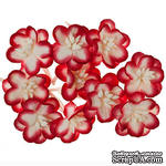 Цветы вишни из шелковичной бумаги, набор 10 шт., цвет красный с белым - ScrapUA.com