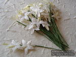Гладиолусы White,  белый, 25 мм, 5 шт. - ScrapUA.com