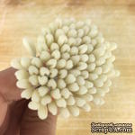 Тайские тычинки тюльпана на проволоке,  цвет молочно-белый, 5 шт. - ScrapUA.com