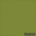 Лист скрапбумаги от Echo Park - Green / Silver, 30х30 см - ScrapUA.com
