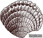 Акриловый штамп Stamp Shell 5 Ракушка, размер 2,2 * 1,9 см - ScrapUA.com