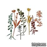 Ножи для вырубки от Sizzix (design by Tim Holtz) - Thinlits - Wildflowers #2, 7 шт - ScrapUA.com