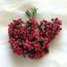 Веточки с маленькаими ягодками, цвет красный, 1 пучок из 12 штук - ScrapUA.com